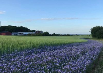 106356684_1929661943835239_403259686406295288_n