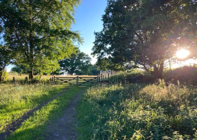 292087950_1078482532791847_3554544740794953589_n